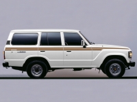 TINGALPA BODY STRIPE KIT : TOYOTA LAND CRUISER 60-SERIES