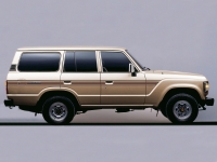 TAREE BODY STRIPE KIT : TOYOTA LAND CRUISER 60-SERIES