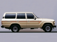 BIRDSVILLE BODY STRIPE KIT : TOYOTA LAND CRUISER J60